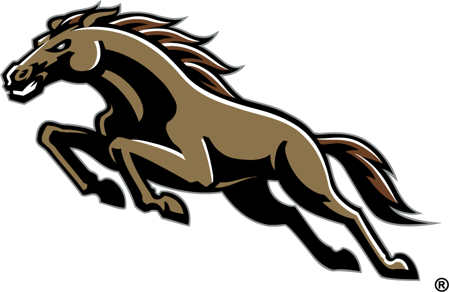 Western Michigan Broncos 1998-2016 Secondary Logo v3 DIY iron on transfer (heat transfer)